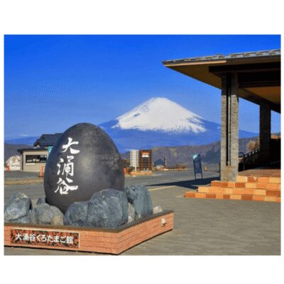 “Tokyo to Mt. Fuji & Hakone: Private Customizable Day Trip” - Meet your driver-guide in a luxury car (and what you get for it)