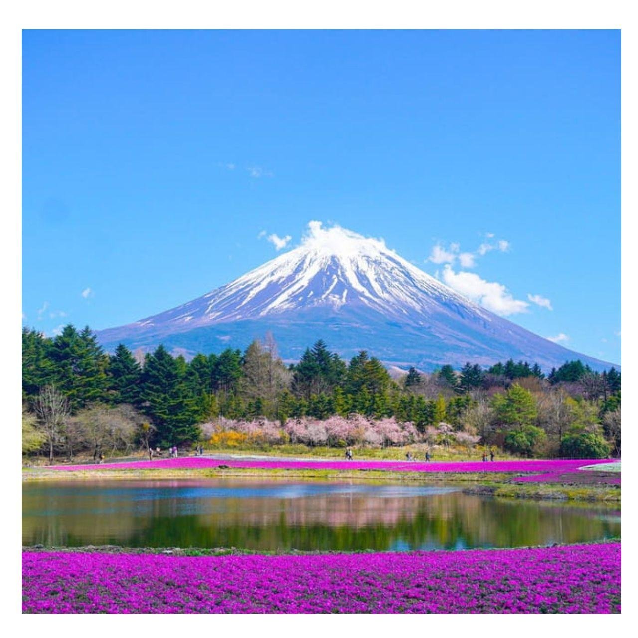 “Tokyo to Mt. Fuji & Hakone: Private Customizable Day Trip” - Gotemba Premium Outlets: when shopping fits your pacing