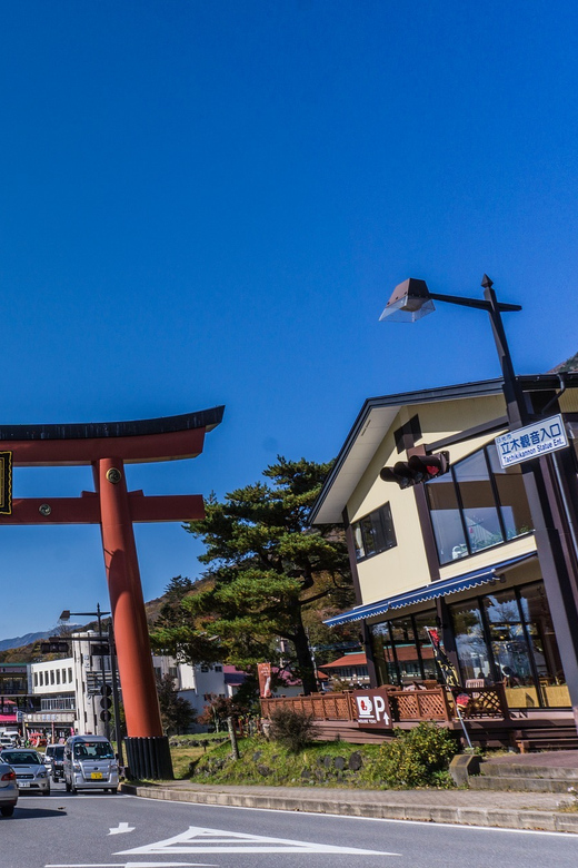 Tokyo to Nikko: Exclusive Private Day Trip - The practical food break: yuba and locally brewed sake