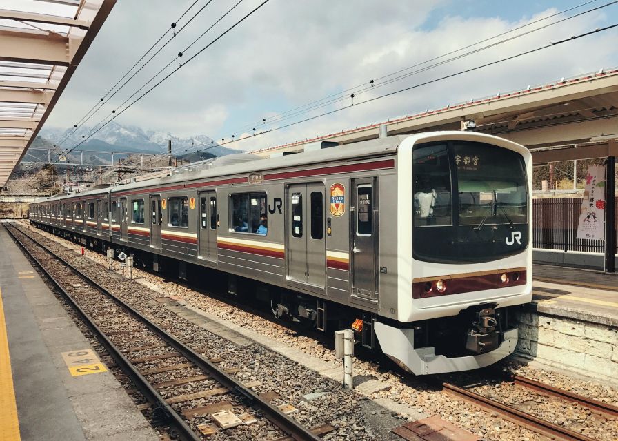 Tokyo to Nikko: Exclusive Private Day Trip - What to expect on the ground: pacing, accessibility, and comfort