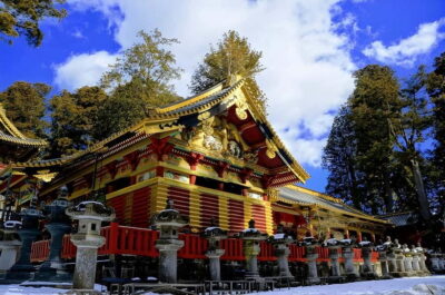 Tokyo to Nikko Private Customizable Full Day Tour W/D Driver - Pickup and Getting Set: Where the Day Starts Smoothly