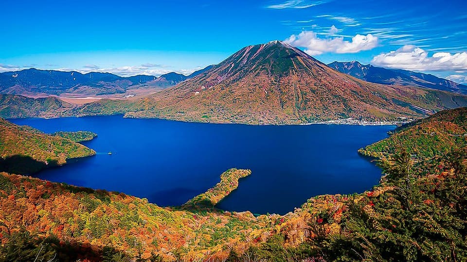 Tokyo to Nikko Private Customizable Full Day Tour W/D Driver - Stop 2: Nikko Toshogu Shrine, Gold Details and Tokugawa Power