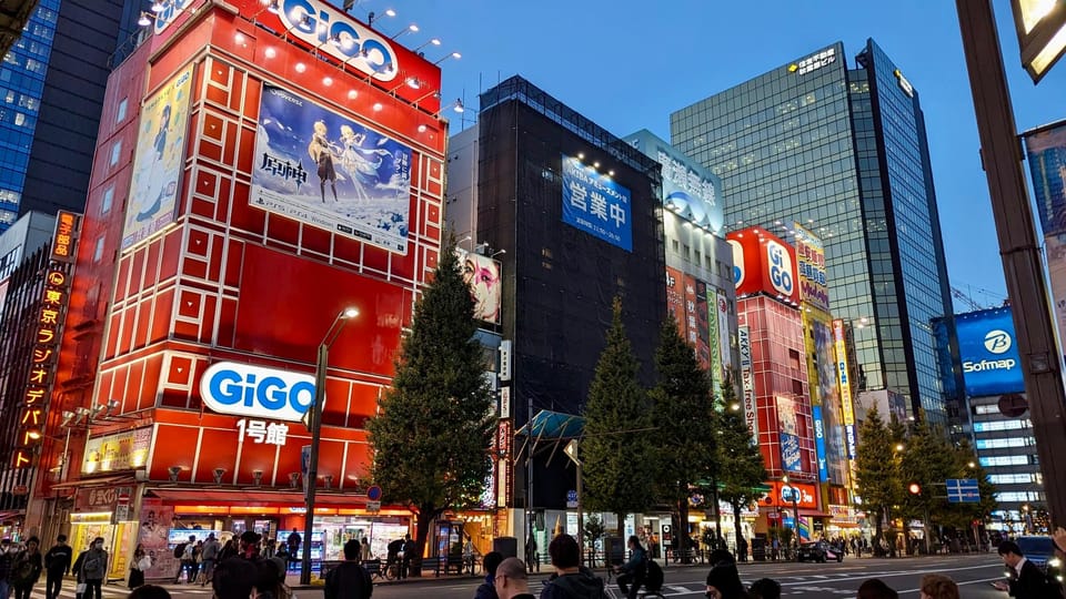 Tokyo: Tour Privado por Tokio en español - Price and what you’re really buying for your money