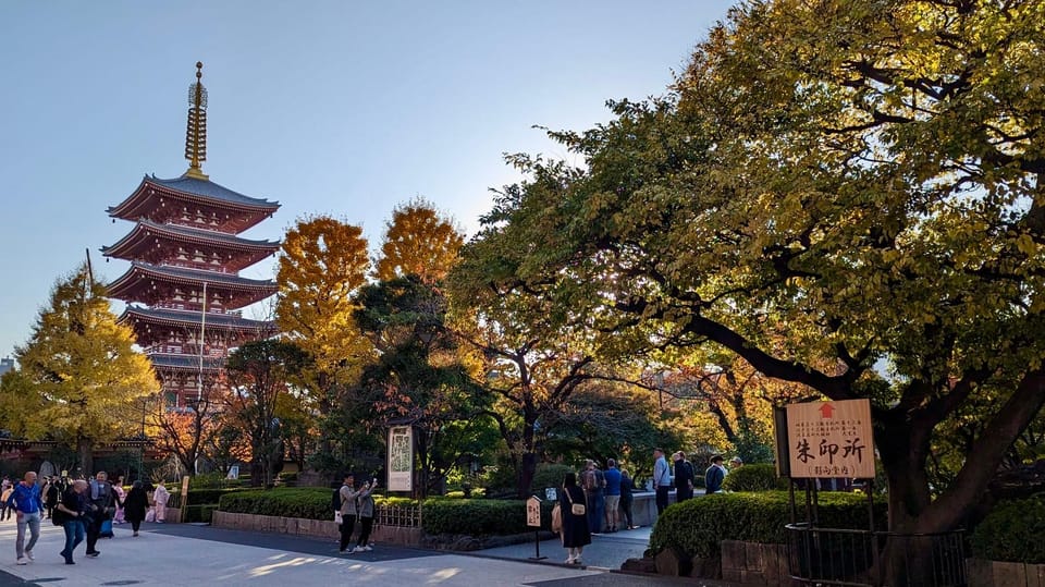 Tokyo: Tour Privado por Tokio en español - Akihabara: anime, manga, games, electronics, and the maid cafe angle
