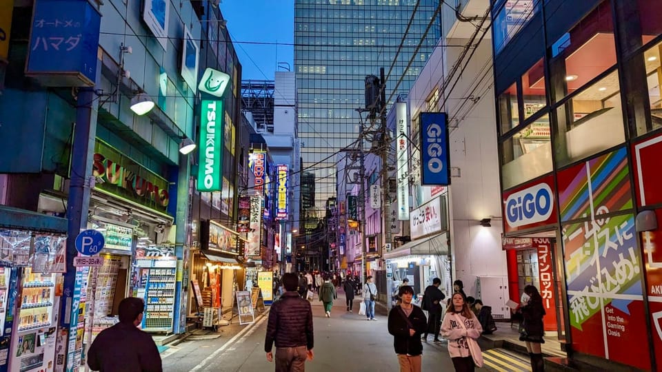 Tokyo: Tour Privado por Tokio en español - What to bring (and what to skip)