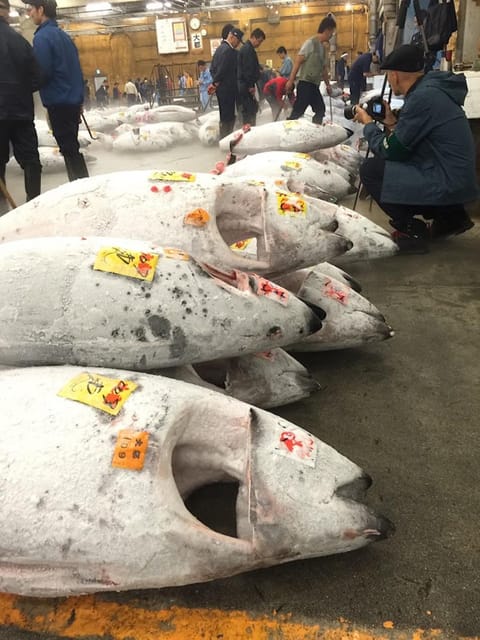 Tokyo: Tsukiji Fish Market Foodie and Educational Tour - From Lawson’s Meeting Point to Namiyoke Inari Jinja