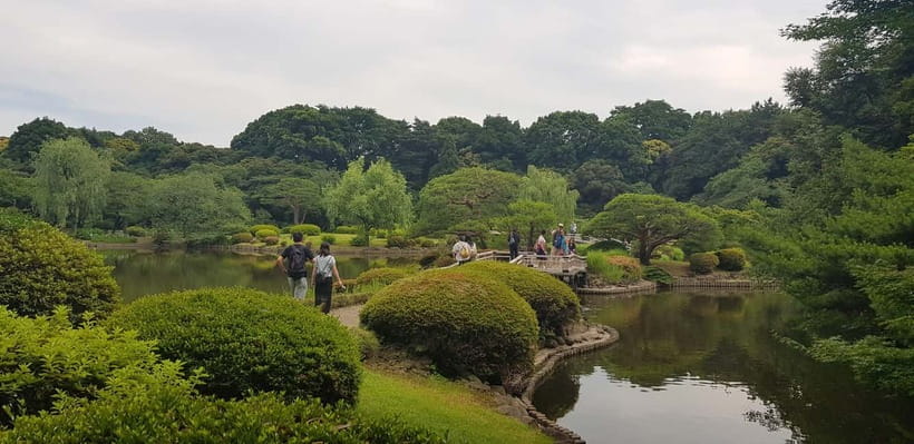 Tokyo Walk through: Shinjuku, Harajuku, Omotesando & Shibuya - Shibuya: Youth Culture, Train-Smart Tips, and Built-For-Modern Life