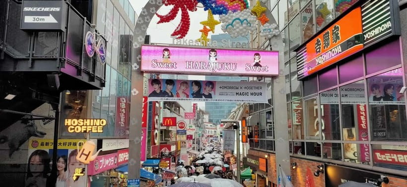 Tokyo Walk through: Shinjuku, Harajuku, Omotesando & Shibuya - Should You Book This Tokyo Walkthrough?