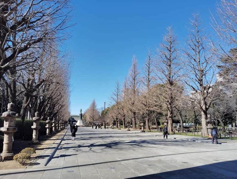 Tokyo War History Tour: Yasukuni Shrine & War Museum - When This Tour Is Worth Your Interest (and When It Might Not Be)
