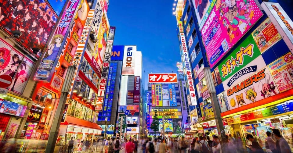 Tokyo: Winter Illuminations Private Tour with a Local - Key points worth knowing before you go