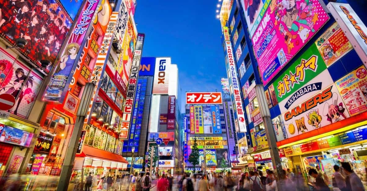 Tokyo: Winter Illuminations Private Tour with a Local - Christmas markets and festive attractions, chosen around your interests