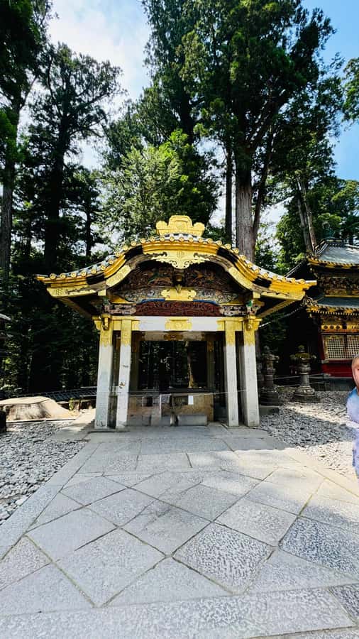 Tokyo/yokohama: Full Day Nikko Private Sightseeing Trip - Toshogu Shrine: Japan’s Showpiece Shrine Without the Rush