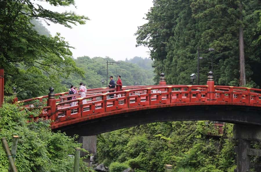 Tokyo/yokohama: Full Day Nikko Private Sightseeing Trip - Lunch Break, Restroom Stops, and Keeping Momentum