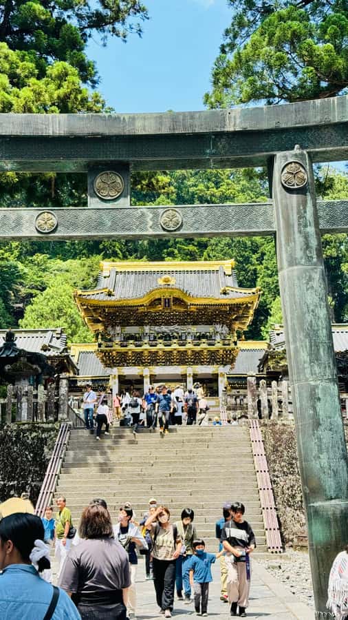 Tokyo/yokohama: Full Day Nikko Private Sightseeing Trip - Price and Logistics: Does $512 Feel Fair?