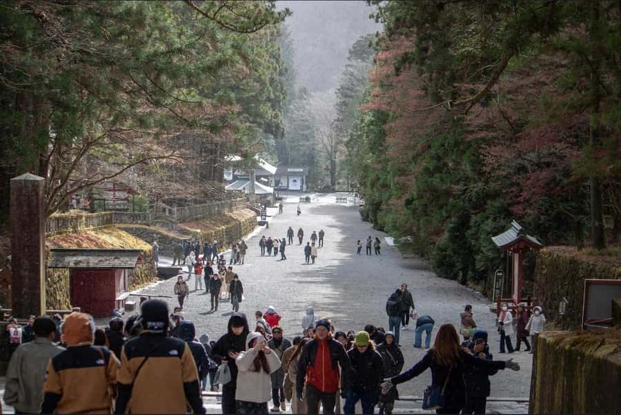 Tokyo/yokohama: Full Day Nikko Private Sightseeing Trip - What to Bring (and What Rules You’ll Actually Follow)