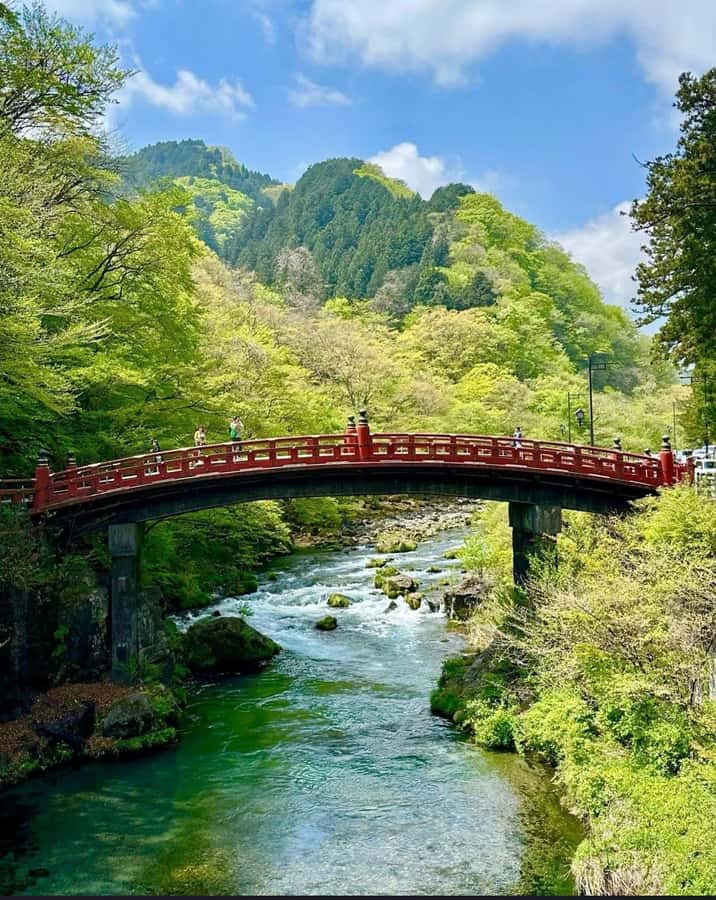 Tokyo/yokohama: Full Day Nikko Private Sightseeing Trip - Who This Nikko Private Trip Is Best For