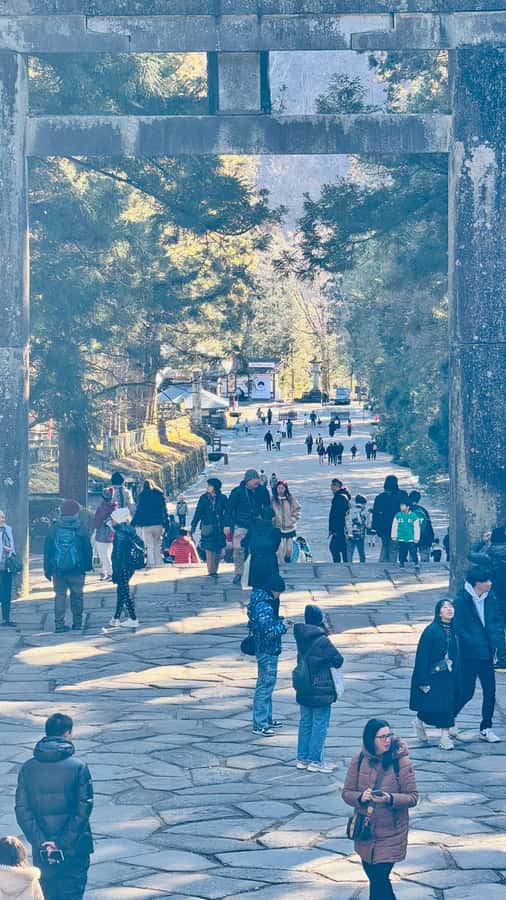 Tokyo/yokohama: Full Day Nikko Private Sightseeing Trip - Timing Kegon Falls and the Red Maples Moment
