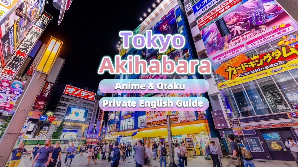Tokyo:Cherry Blossom Mt Fuji & Shibazakura Festival Day Trip - Getting there in a comfy van: pickup, pacing, and what actually matters