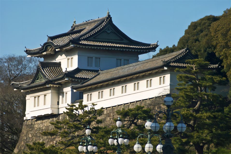 Tokyo:Cherry Blossom Mt Fuji & Shibazakura Festival Day Trip - Oishi Park on Lake Kawaguchiko: the panoramic payoff
