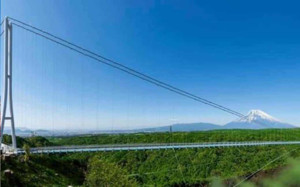 Tokyo:Customizable Private Day Trip to Mt.Fuji & Safari Park - Key things that make this trip worth your time