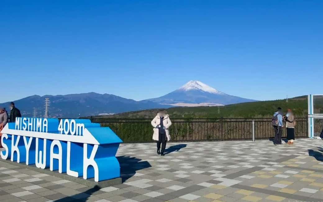 Tokyo:Customizable Private Day Trip to Mt.Fuji & Safari Park - Mishima Sky Walk: the longest suspension-bridge walk