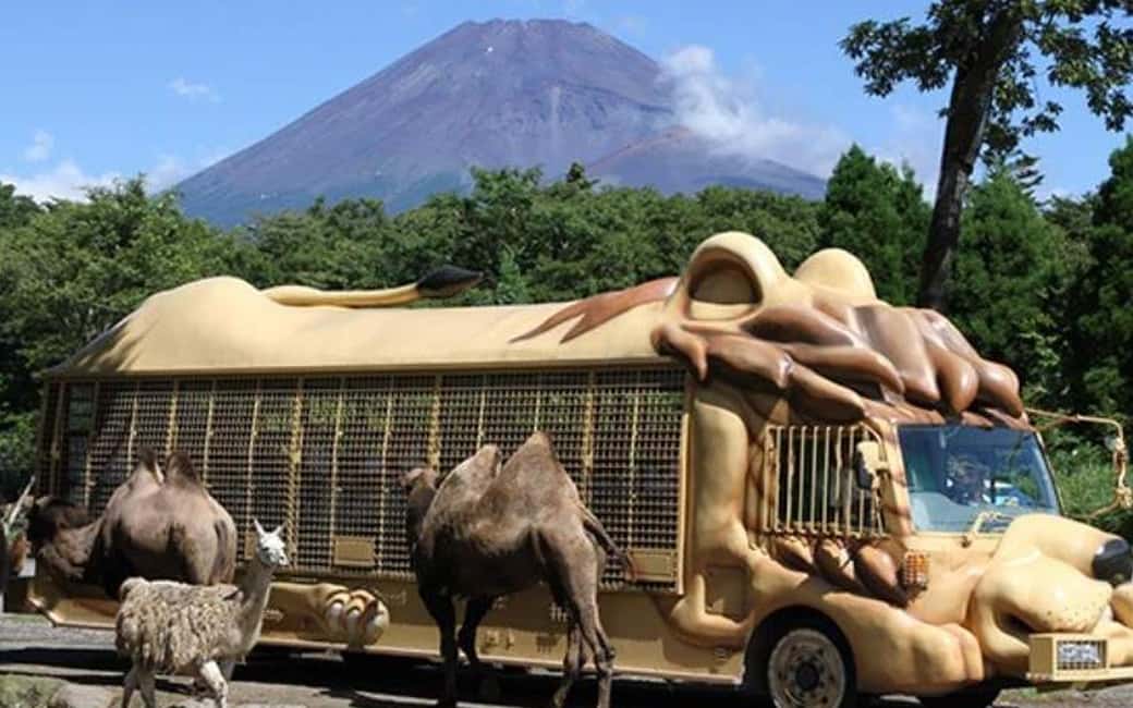 Tokyo:Customizable Private Day Trip to Mt.Fuji & Safari Park - Oshino Hakkai springs and the Lake Kawaguchiko photo moment
