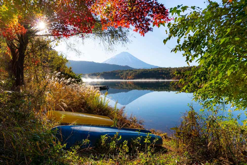 Tokyo:Customizable Private Day Trip to Mt.Fuji & Safari Park - Chureito Pagoda: classic framing for your Fuji photos