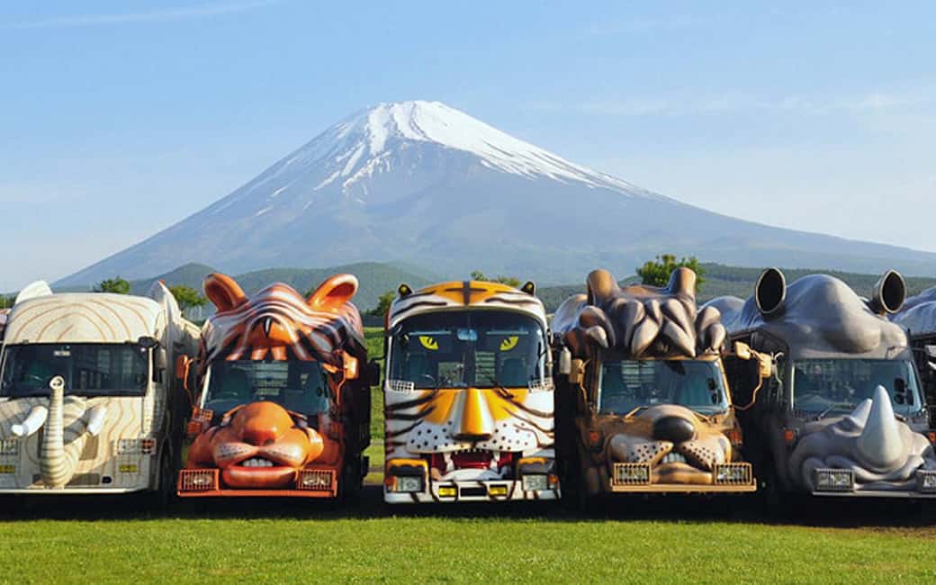 Tokyo:Customizable Private Day Trip to Mt.Fuji & Safari Park - Optional stops that help you shape the day: Gotemba, Numazu, and the museum