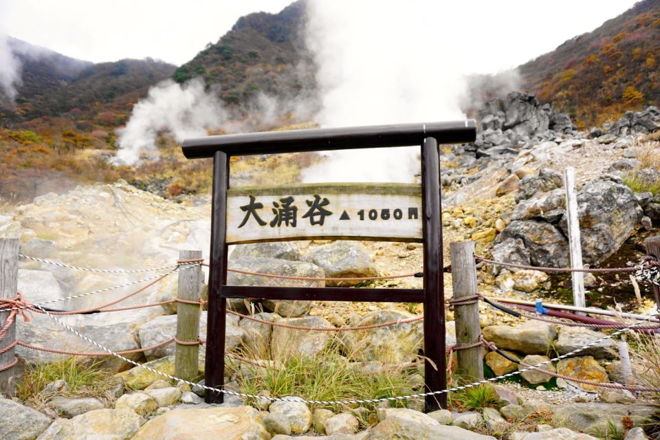tokyo:Hakone Owakudani & Gotemba Premium Outlet 1d Tour - Gotemba Premium Outlets: 2.5 hours of shopping plus Fuji-at-meal potential