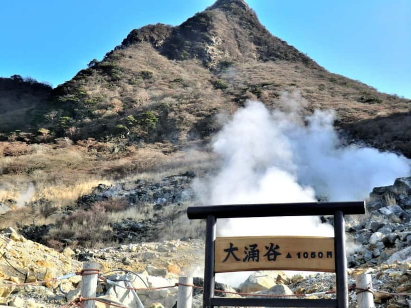 tokyo:Hakone Owakudani & Gotemba Premium Outlet 1d Tour - Who should book this one-day plan