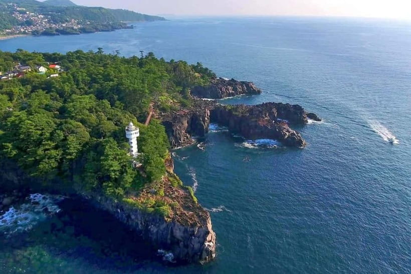 Tokyo:Izu Penisula Train Mt Omuro, Capybara Sightseeing Trip - Jogasaki Coast and Kadowaki Suspension Bridge: A Quick Hit of Big Views