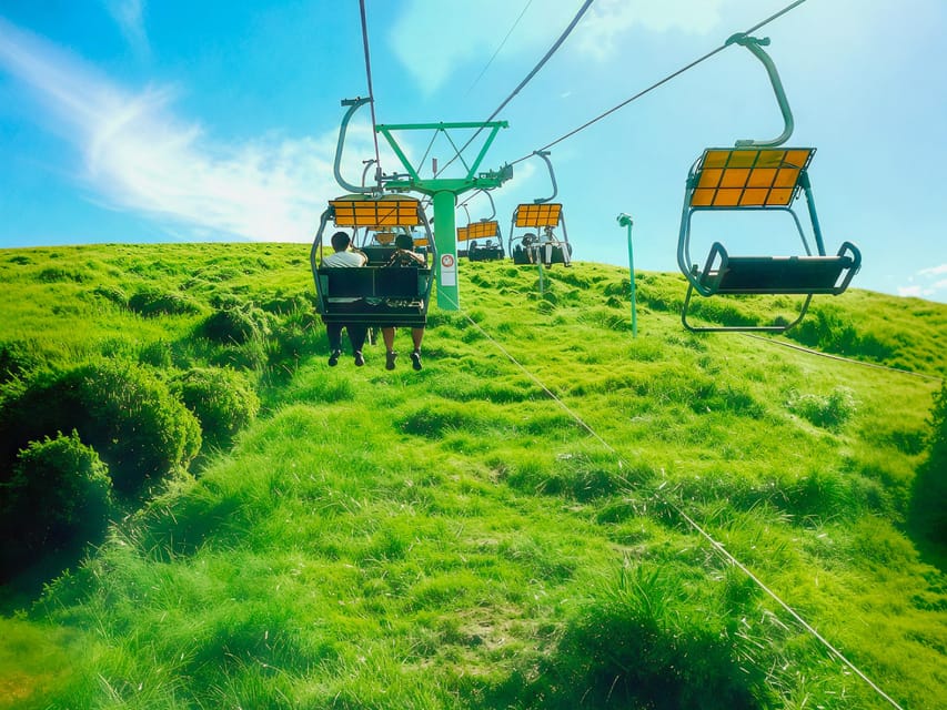 Tokyo:Izu Penisula Train Mt Omuro, Capybara Sightseeing Trip - The Big Choice: Mt Omuro OR Capybara + Cactus Park