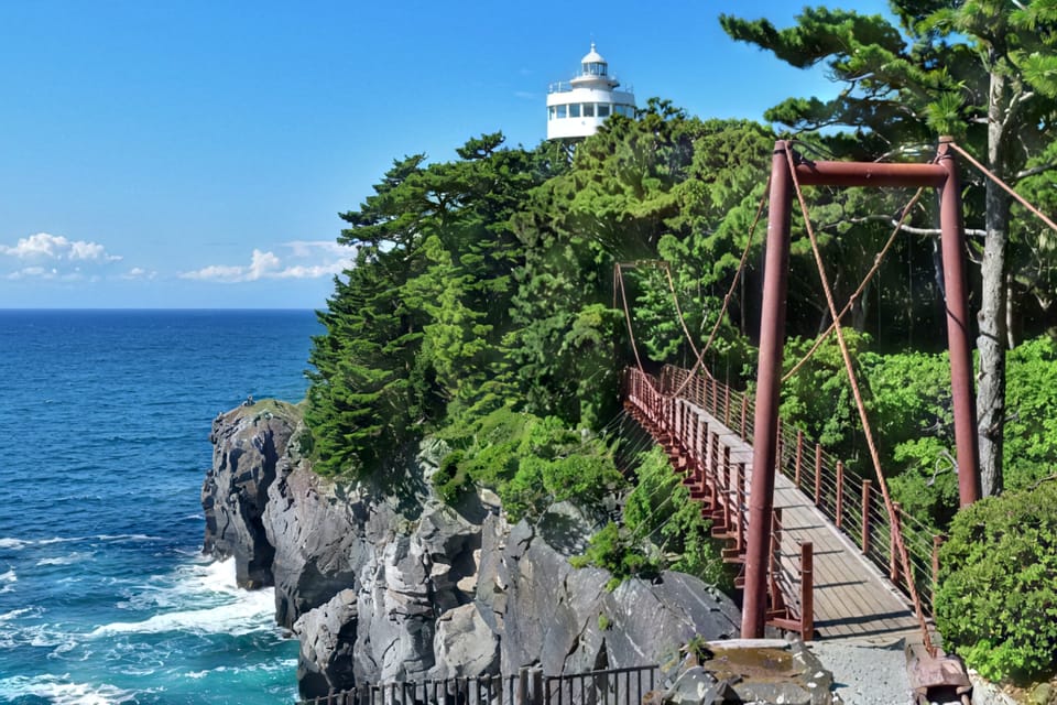 Tokyo:Izu Penisula Train Mt Omuro, Capybara Sightseeing Trip - Timing and Pacing: Room for Real Photos, Not Just Checkmarks