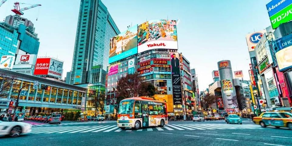 Tokyo:Luxury Private Tour with English-Speaking driver - Private driver, no train stress: how the day really flows