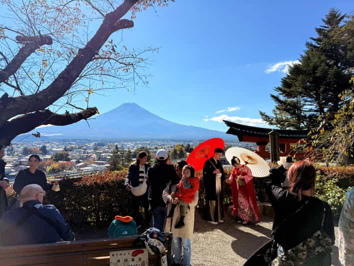 Tokyo:Mt Fuji & Hakone Day Tour with English Speaking Driver - Private Luxury Ride + English Driver: The Real Upgrade from DIY