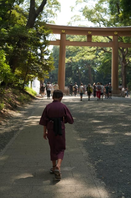 :Tokyo,Shibuya /Meiji Shrine tour in KIMONO/English-friendly - The shrine walk: a clear 1-hour English route through six Meiji Shrine photo stops