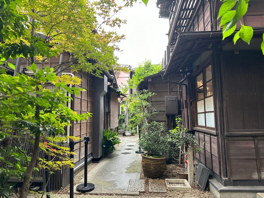 Tokyo:Stroll in Old traditional culture towns~Yanaka & Nezu - Nezu Shrine’s Torii Path: Shinto Atmosphere at a Human Scale