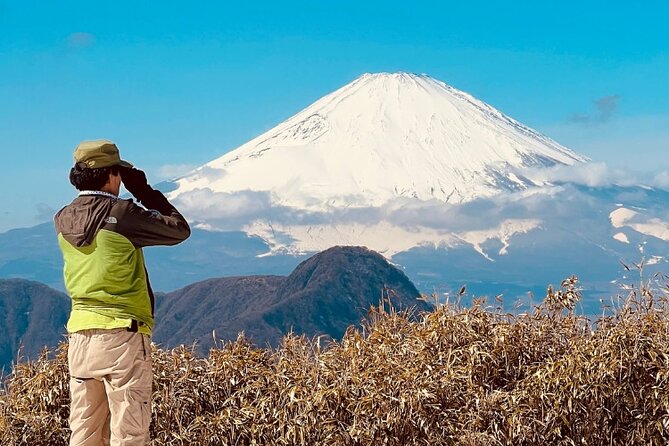 Traverse Outer Rim of Hakone Caldera and Enjoy Onsen Hiking Tour - The Big Picture: An Outer-Rim Traverse That Blends Views and Recovery