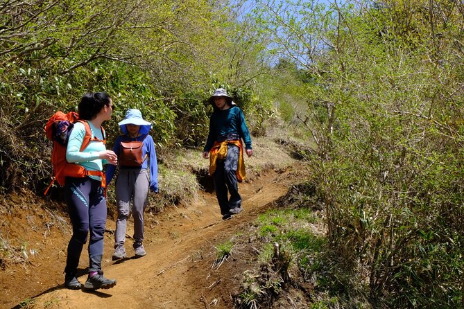 Traverse Outer Rim of Hakone Caldera and Enjoy Onsen Hiking Tour - Togendai Lunch Area: Eat Well, Not Just Fast