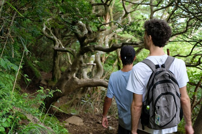 Traverse Outer Rim of Hakone Caldera and Enjoy Onsen Hiking Tour - Onsen at Togendai: Indoor/Outdoor Soak to Work Through Stiff Legs