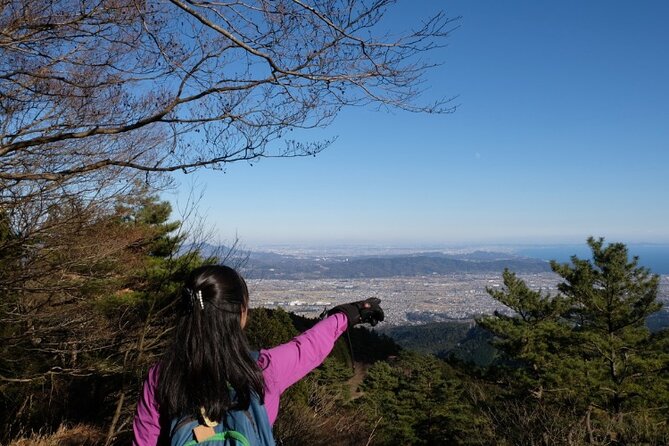 Traverse Outer Rim of Hakone Caldera and Enjoy Onsen Hiking Tour - Price and Value: What $158.13 Covers (and What It Doesn’t)