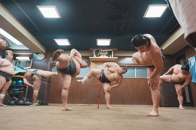 Unique Afternoon Live Sumo training tour in Tokyo - Key Things You’ll Notice From the Start