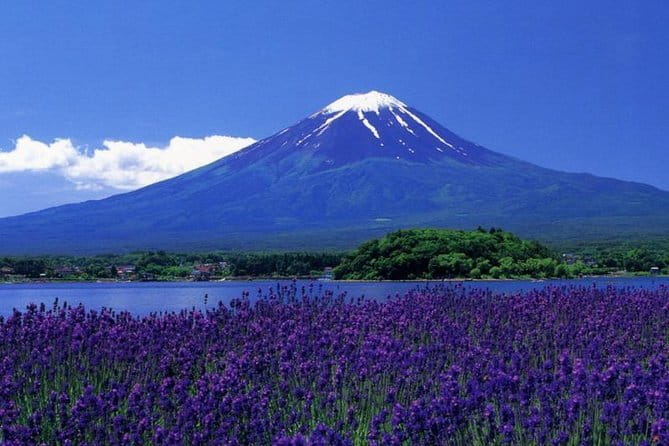 View of Mt. Fuji is good! Sushi making experience class - Sushi Manners and Trivia Before You Cook