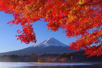 View of Mt. Fuji is good! Sushi making experience class - Preparing Vinegared Rice Like a Real Sushi Step