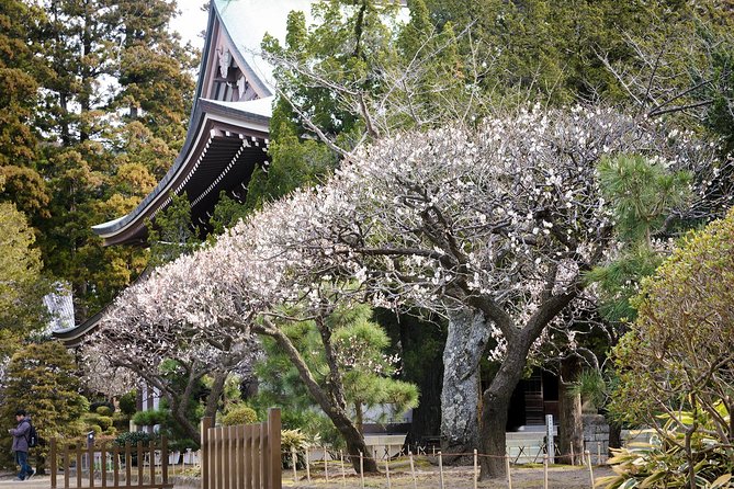When Emperors Reigned and Shoguns Ruled - Tsurugaoka Hachimangu: shogun origins you can actually see
