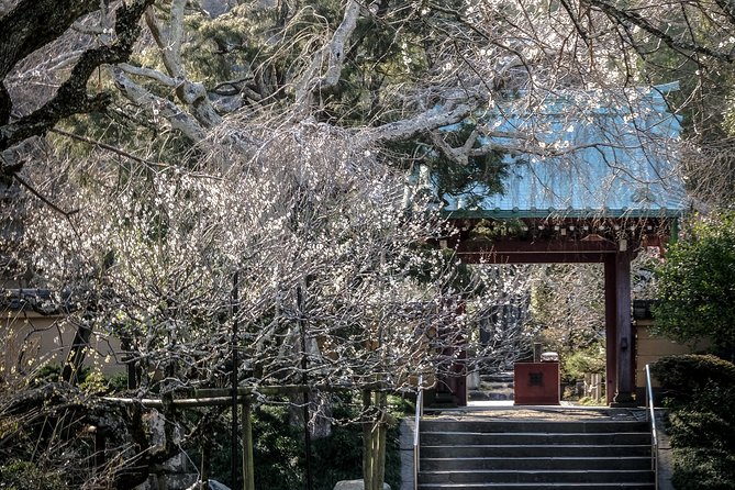 When Emperors Reigned and Shoguns Ruled - Komachidori: snacks, souvenirs, and a needed break from temples