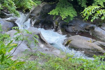 World Heritage Nikko Walking Tour Toshogu and Kanmangafuchi - Starting at Tōbu-Nikkō Station and ending at Toshogu