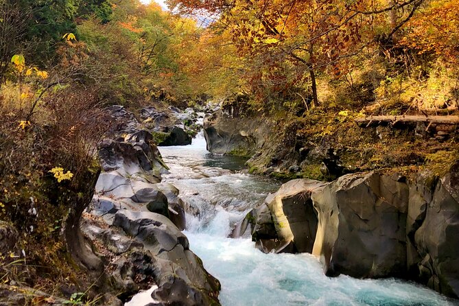 World Heritage Nikko Walking Tour Toshogu and Kanmangafuchi - Transportation, audio, and why the guide can change the whole experience