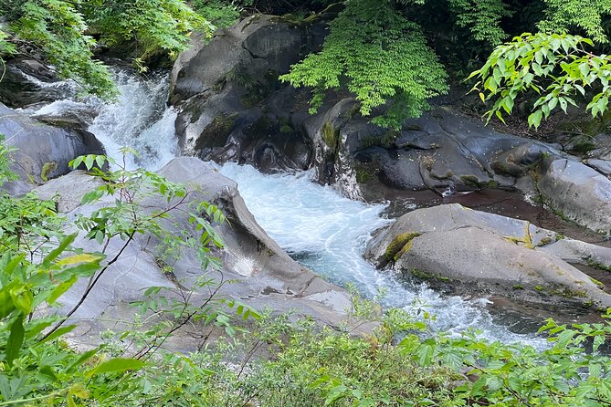 World Heritage Nikko Walking Tour Toshogu and Kanmangafuchi - Starting at Tōbu-Nikkō Station and ending at Toshogu